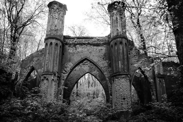 Foto ponte medievale in rovina con torri nella vecchia foresta