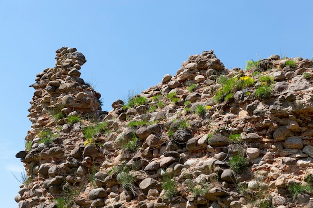 Ruined and overgrown with grass ruins of an ancient fortress and stones and bricks, ruins of defensive structures of the Middle Ages