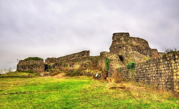 Ruined palace at Bagrati Cathedral in Kutaisi Georgia