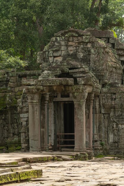 Foto entrata del tempio in rovina con colonne nella giungla