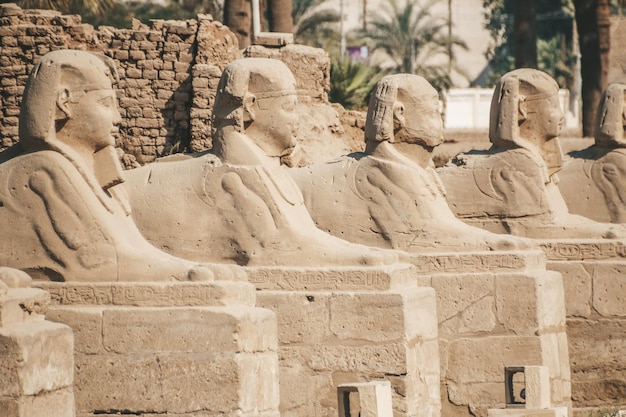 Foto ruïnes van de egyptische karnak-tempel, het grootste openluchtmuseum in luxor