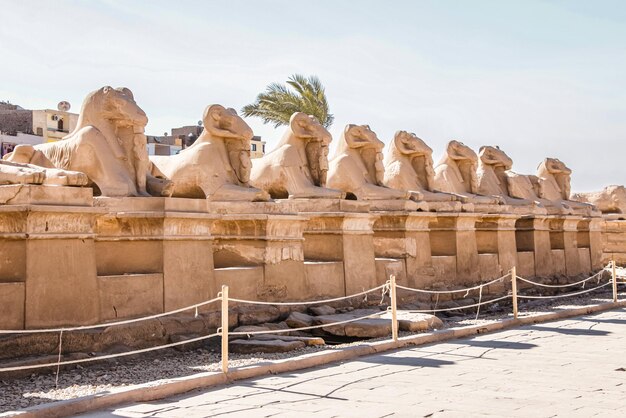 Foto ruïnes van de egyptische karnak-tempel, het grootste openluchtmuseum in luxor