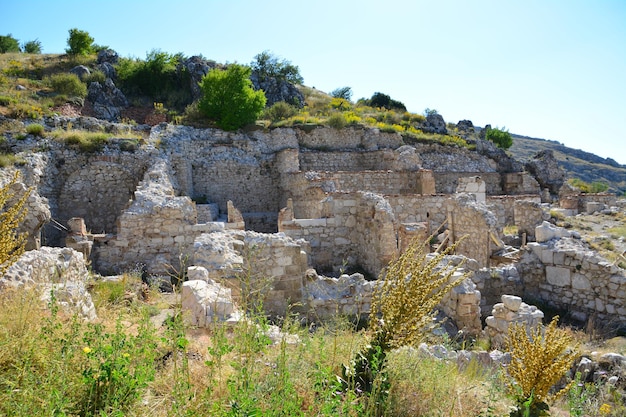 ruïnes van de oude stad Sagalassos tussen groen gras