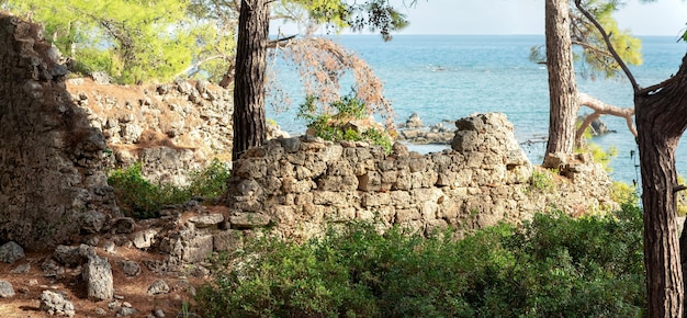 Ruïnes van oude gebouwen aan de kust op de plaats van de voormalige haven van de antieke stad Phaselis, Turkije