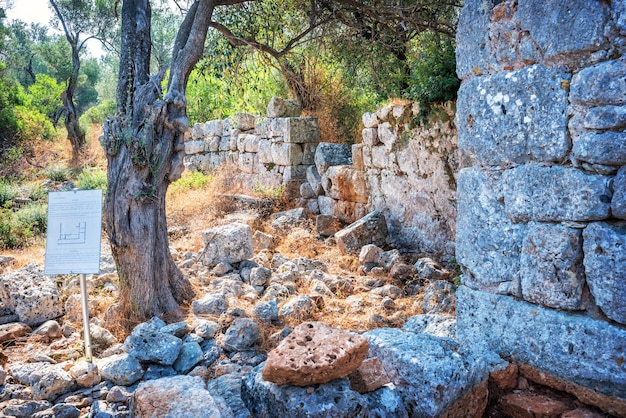 Ruins of ancient city on Cleopatra island Sedir island Aegean sea Marmaris Turkey