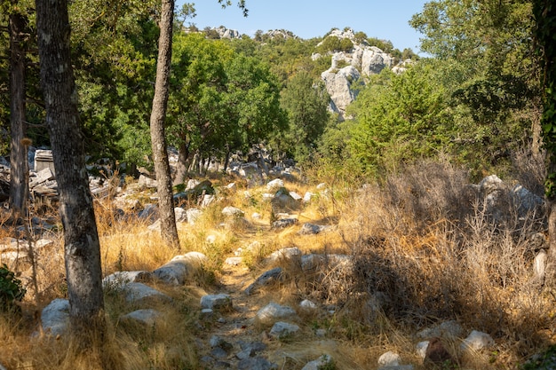 Ruins of the ancient city of Termessos without tourists near Antalya in Turkey