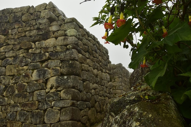ペルーの霧の中の古代インカの都市マチュピチュの遺跡