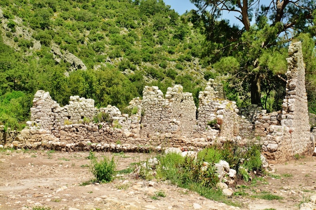 Ruins of ancient Lycian town Olympos in Turkey