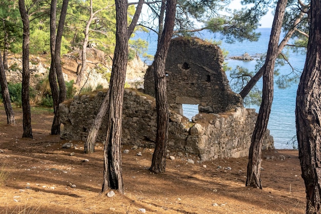 Руины древнеримского здания в лесу на берегу моря недалеко от античного города Фазелис