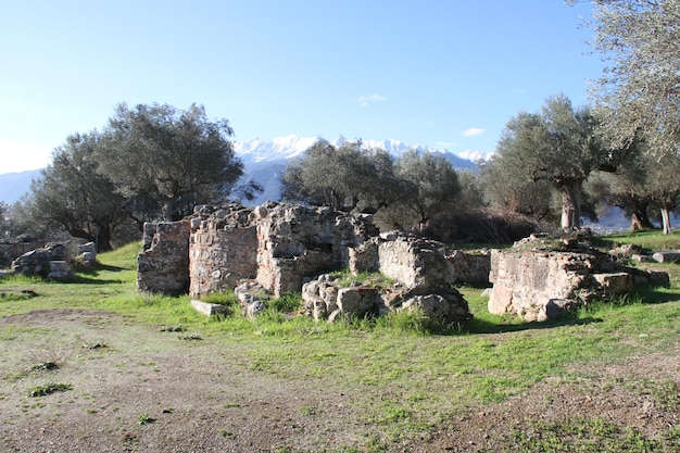 Ruins of Ancient Sparta