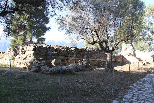 Rovine dell'antica sparta