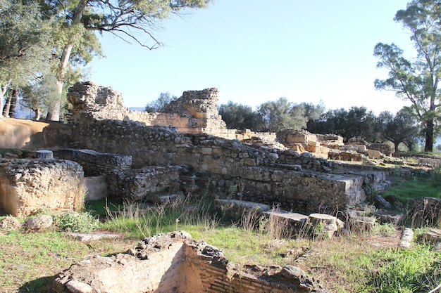 Ruins of Ancient Sparta