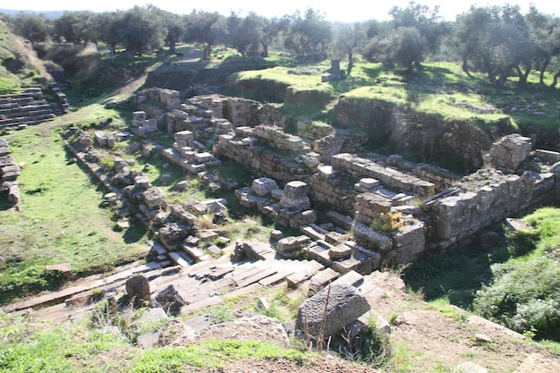 Ruins of Ancient Sparta