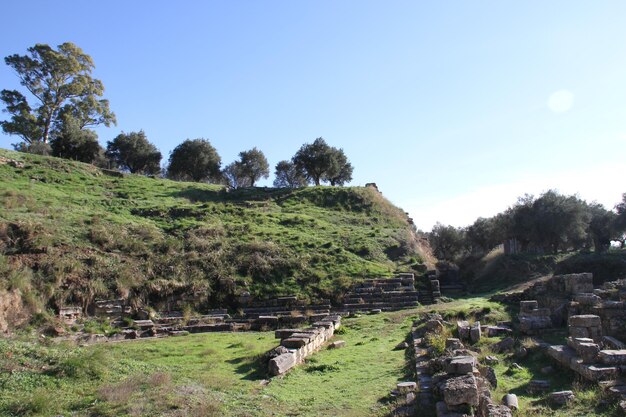 Ruins of Ancient Sparta