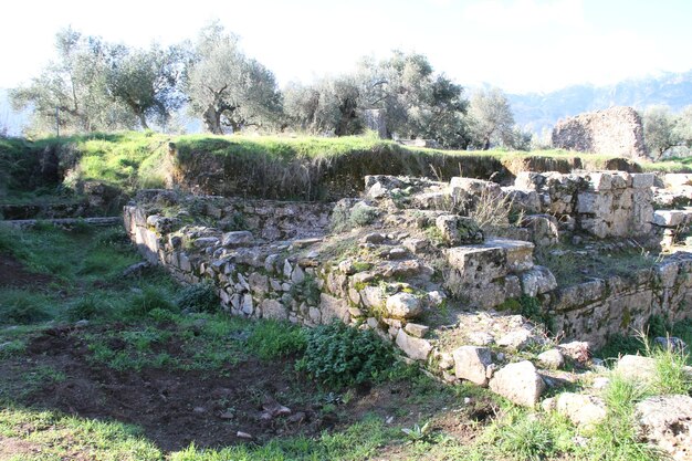 Ruins of Ancient Sparta