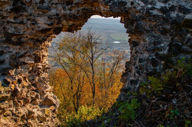 Photo the ruins of the castle in the city of khust transcarpathia