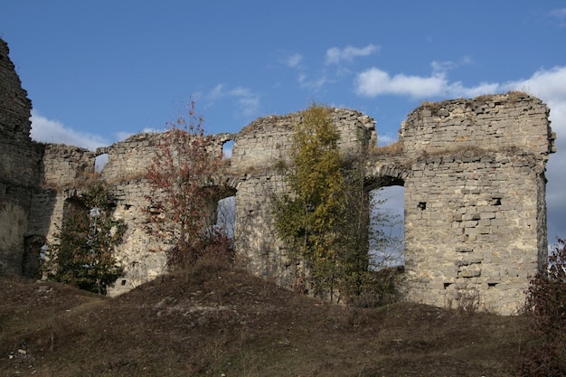 The ruins of the castle in the village of Sidorov Ukraine