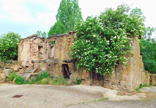 Photo ruins in dornillas zamora spain