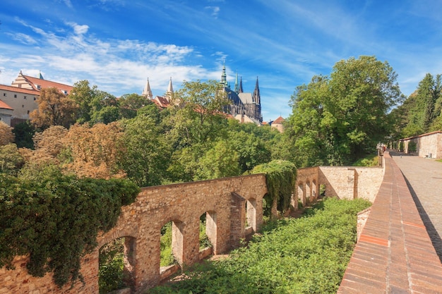 The ruins of fig plant construction in royal garden of prague castle