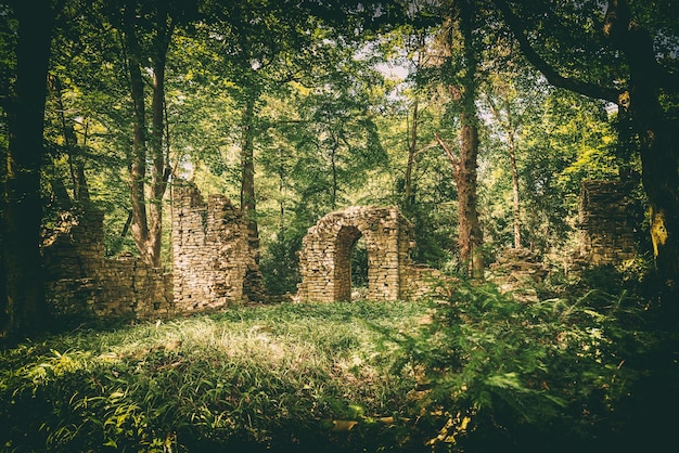 Ruins in the forest