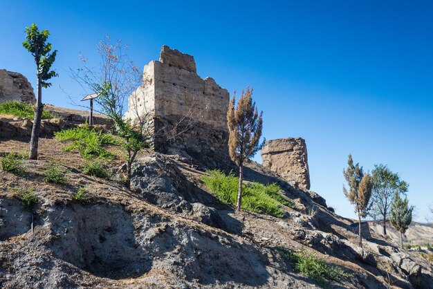 ruins of the historic castle of La Peza in Granada