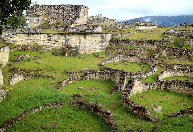 The Ruins Inside Kuelap Archaeological Site with Many of Ancient Stone Round Houses, Peru