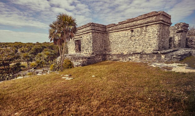 Ruins of Mayan buildings immersed in a green meadow: View of some parts of the Maya complex at Tulum in Mexico