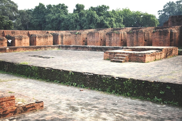 Photo ruins of nalanda university at bihar nalanda in india