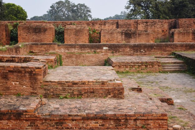 Photo ruins of nalanda university