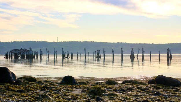 Ruins of an old dock in a lake