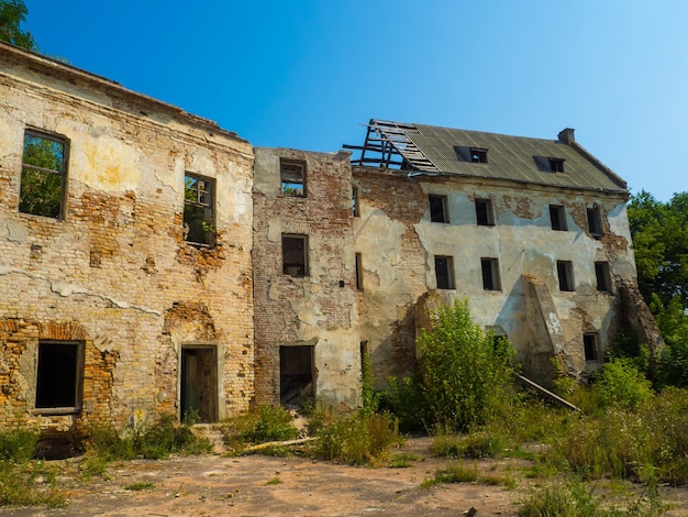 Руины старого Клеванского замка среди зарослей