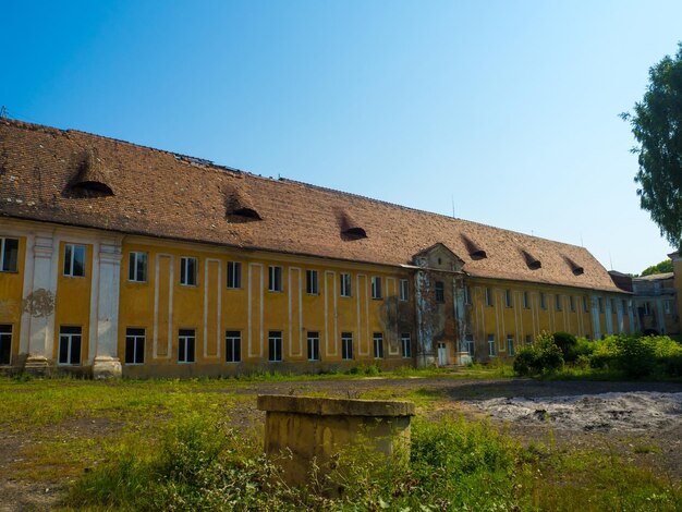 Ruins of the old Olyka Castle among the thickets