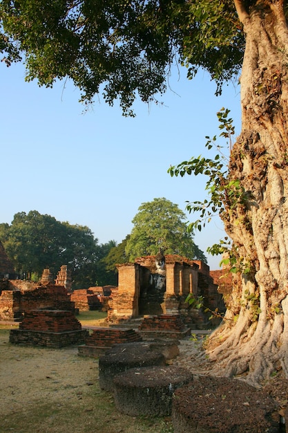 Foto le rovine di un tempio nella città vecchia di angkor