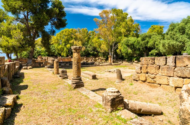 Photo ruins of tipasa a roman colonia in mauretania caesariensis algeria north africa