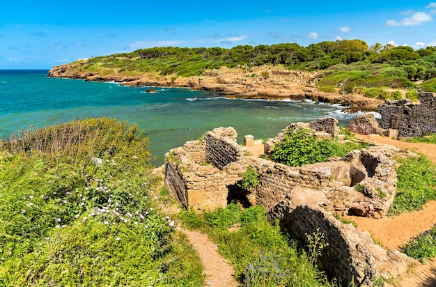 Ruins of Tipasa a Roman colonia in Mauretania Caesariensis Algeria North Africa