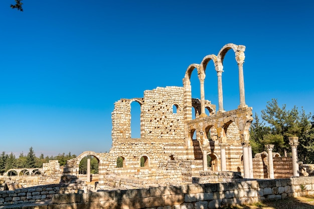 Photo ruins of the umayyad citadel at anjar unesco world heritage in lebanon