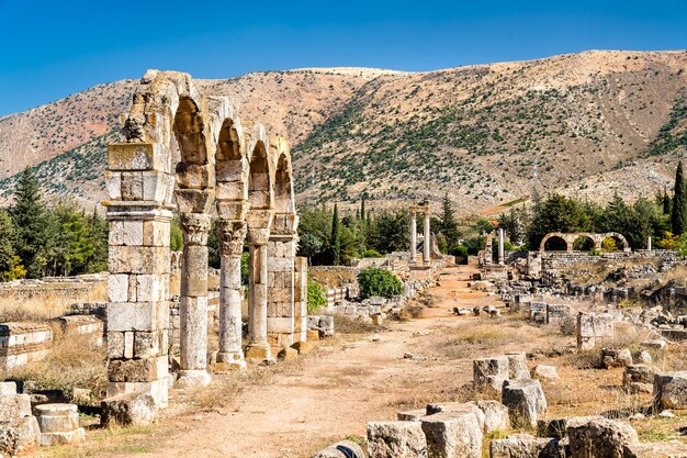 Photo ruins of the umayyad citadel at anjar.