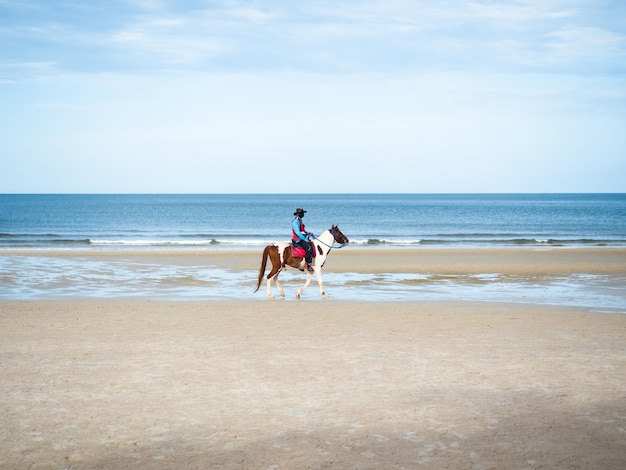 Ruiter op het strand met blauwe oceaan heldere hemel prachtig landschap