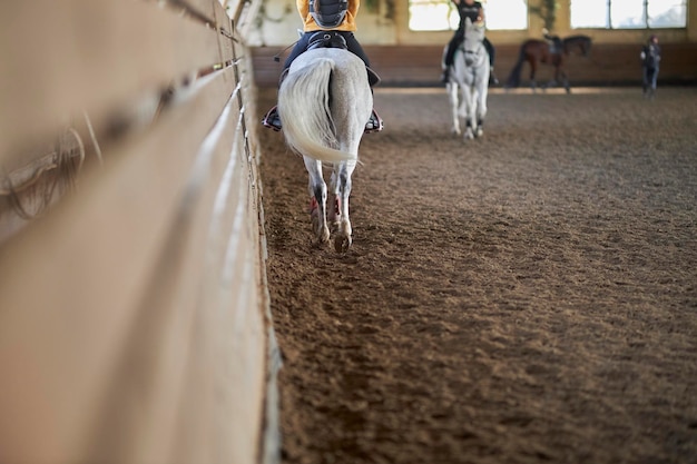 ruiter traint in het berijden van een grijs paard in de arena bijgesneden afbeelding