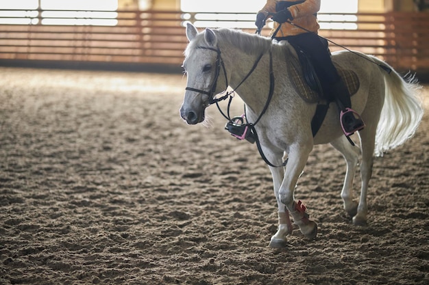 ruiter traint in het berijden van een grijs paard in de arena bijgesneden afbeelding