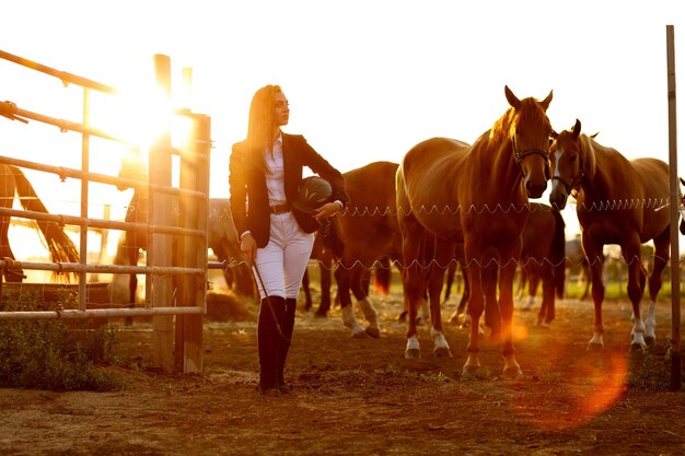 Ruitervrouw met zweep bij de zonsondergang