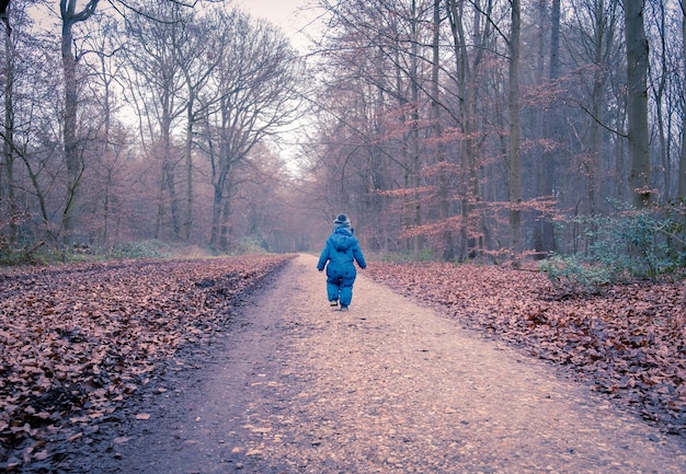 Photo running in the forest