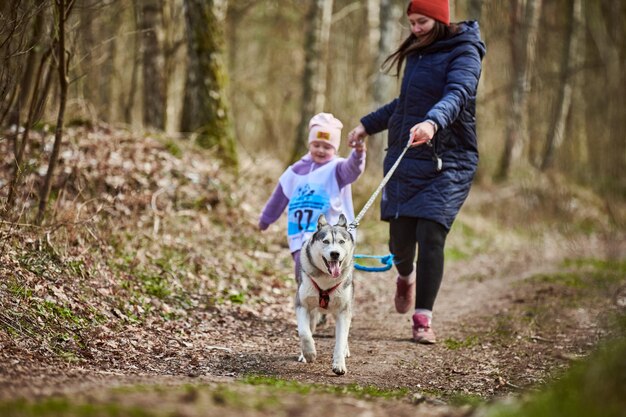 秋の林道でシベリアン ハスキーのそり犬をハーネスで引っ張って走っている母と女の子