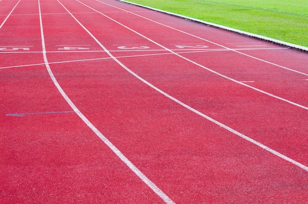 Running track and green grassDirect athletics Running track at Sport Stadium