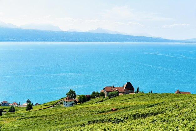 Бегущий поезд по туристической тропе Lavaux Vineyard Terraces на Женевском озере и Альпах, район Лаво-Орон, Швейцария