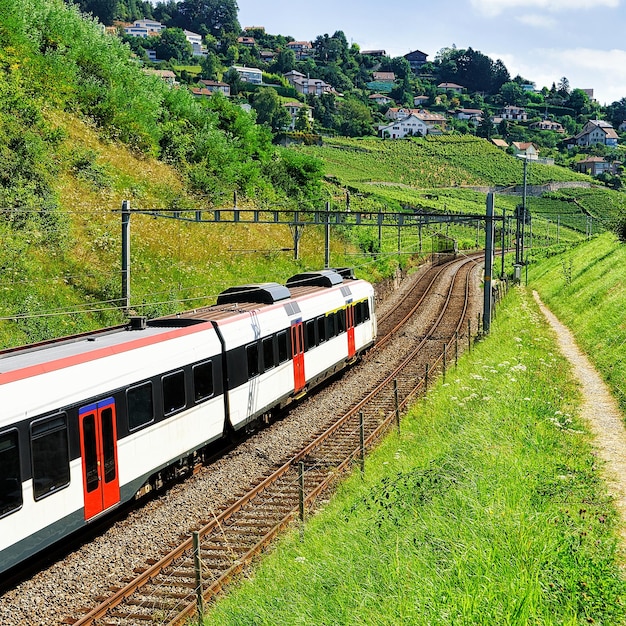 スイス、ラヴォーオロン地区、ラヴォーのブドウ園テラスハイキングトレイルで電車を走らせる