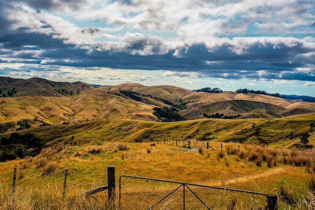 Rural agricultural farm country on the dry  rolling hills near the Tora Coast in the Wairarapa