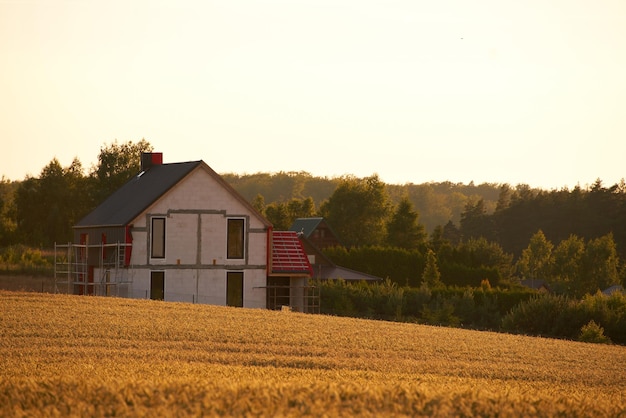 Rural agriculture landscape in August evening sunlight Agronomy and cultivation in country