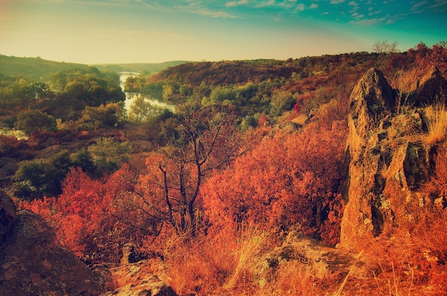 Rural autumn beautiful landscape with river and colorful trees seasonal vintage background