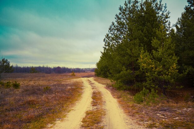 Rural autumn landscape dirt road